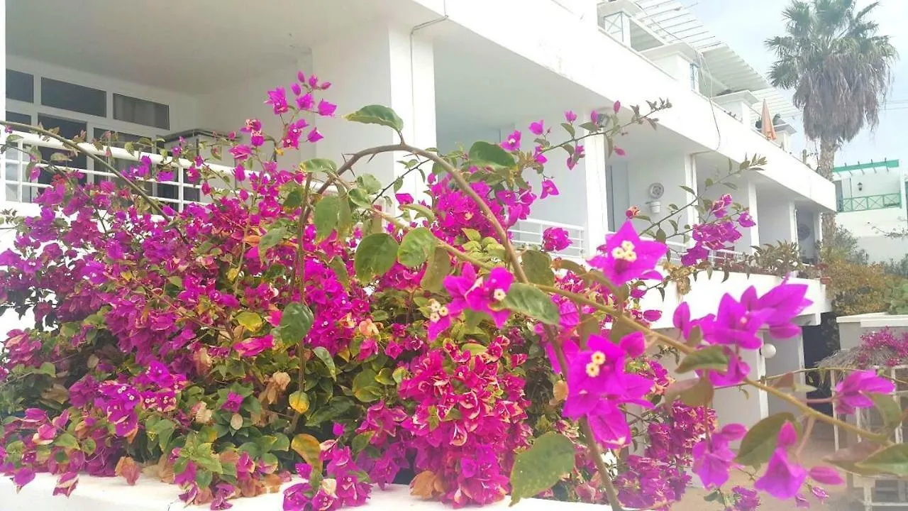 Pearl Apartment Puerto del Carmen  0*, Puerto del Carmen (Lanzarote)
